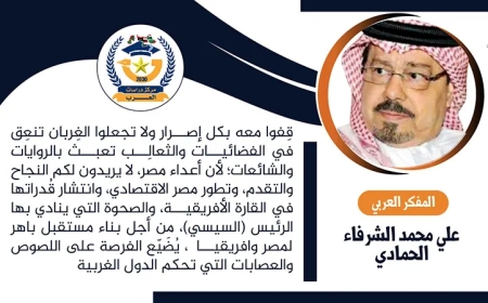 قِفوا مع الرئيس السيسي بكل إصرار وقوة ولا تمنحوا الفرصة للغربان والثعالب.. أطروحة جديدة للشرفاء الحمادي