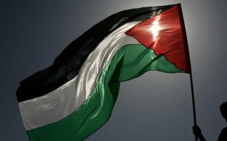 الاعترافات الدولية بضرورة حل الدولتين تتفق مع مقترح المفكر علي الشرفاء
