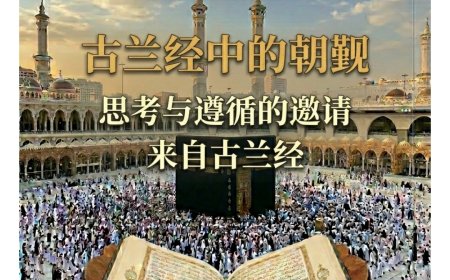 النسخة الإنجليزية: الشرفاء الحمادي يتصدر العدد الجديد من مجلة كل خميس نحو فهمٍ أعمق لمقاصد المناسك بمقال «الحج في القرآن الكريم».